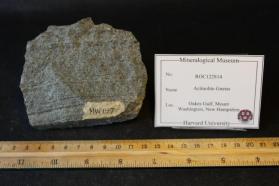 Actinolite Gneiss