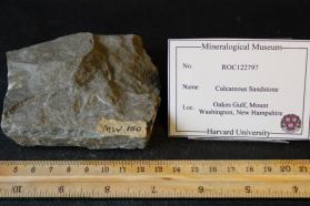 Calcareous Sandstone