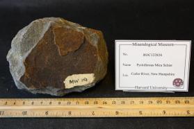 Pyritiferous Mica Schist