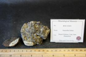 Porphyritic Granite