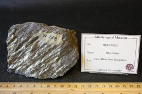 Mica Schist