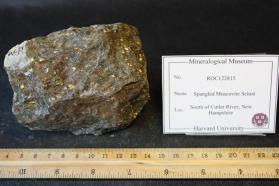 Spangled Muscovite Schist