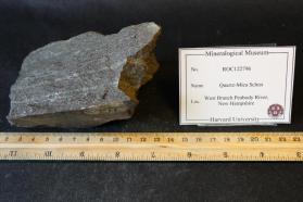 Quartz Mica Schist
