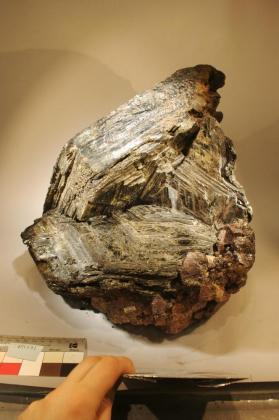 Biotite with FLUORAPATITE