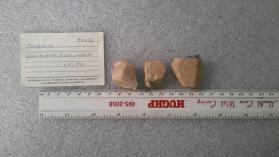 MICROCLINE
