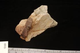 Monazite-(Ce)