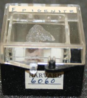 Epigenite