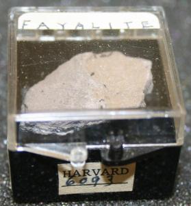 Fayalite