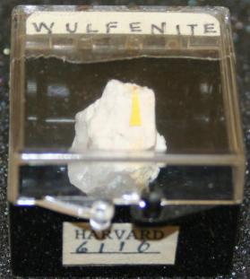 Wulfenite