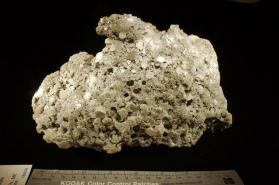 Muscovite