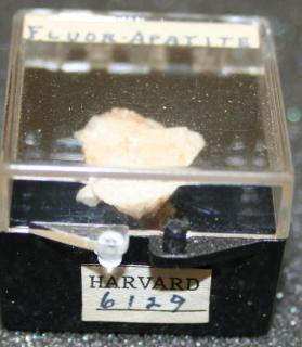 FLUORAPATITE