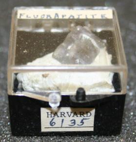 FLUORAPATITE
