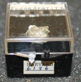 FLUORAPATITE