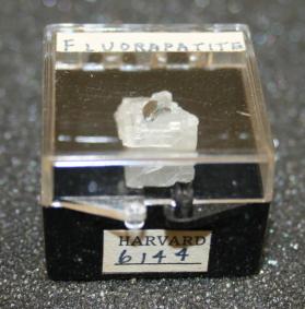 FLUORAPATITE