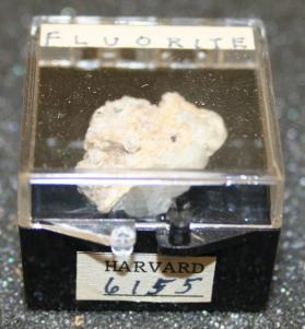 FLUORITE