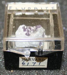 FLUORITE