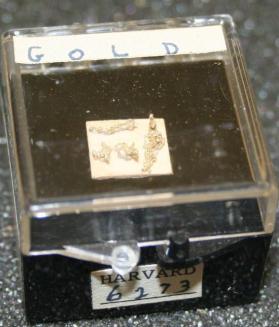 Gold