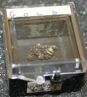 Gold