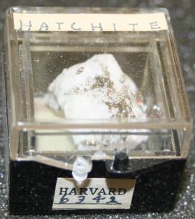 Hatchite