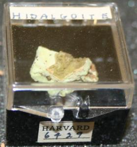 Hidalgoite