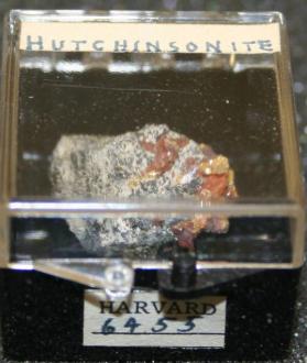 Hutchinsonite