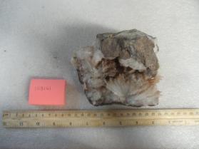NATROLITE with Analcime