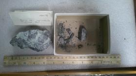 Breccia Ore,Mag+Actinolite