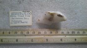 synchysite - (Y), doverite