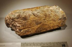 ANDALUSITE