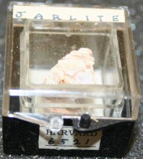 Jarlite