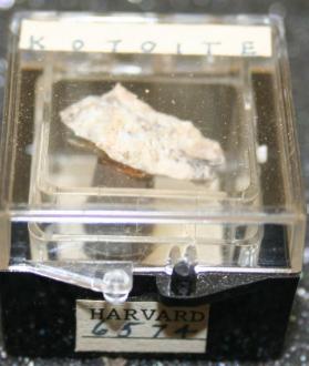 Kotoite