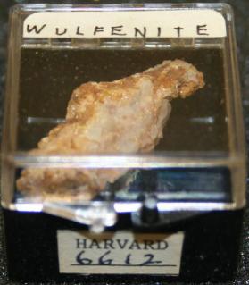 Wulfenite
