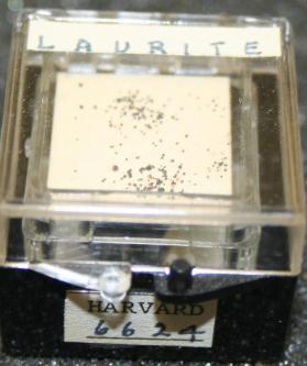 Laurite