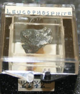 Leucophosphite