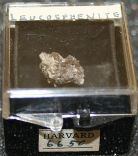 Leucosphenite