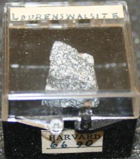 Lourenswalsite