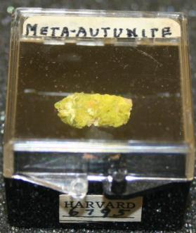 Meta-autunite