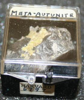 Meta-autunite