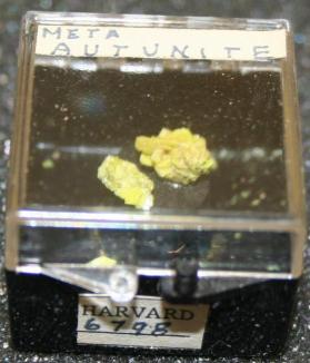 Meta-autunite