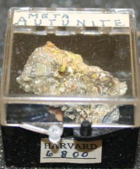 Meta-autunite