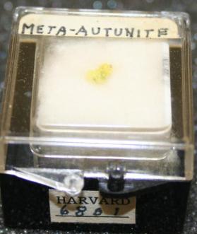 Meta-autunite