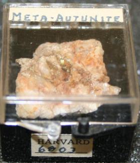 Meta-autunite