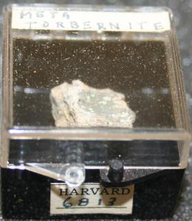 Metatorbernite