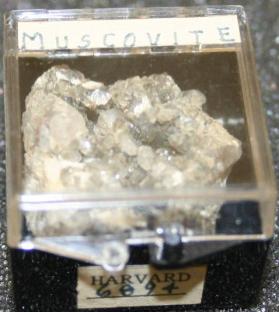 Muscovite