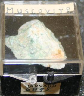 Muscovite