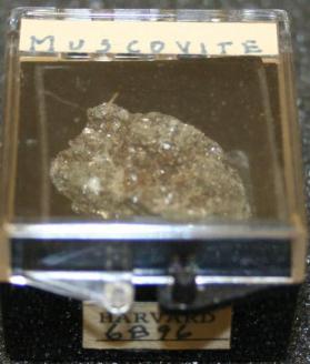 Muscovite