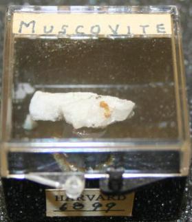 Muscovite