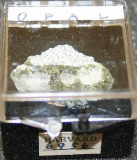 OPAL