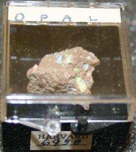 OPAL