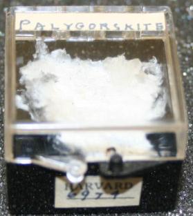 Palygorskite